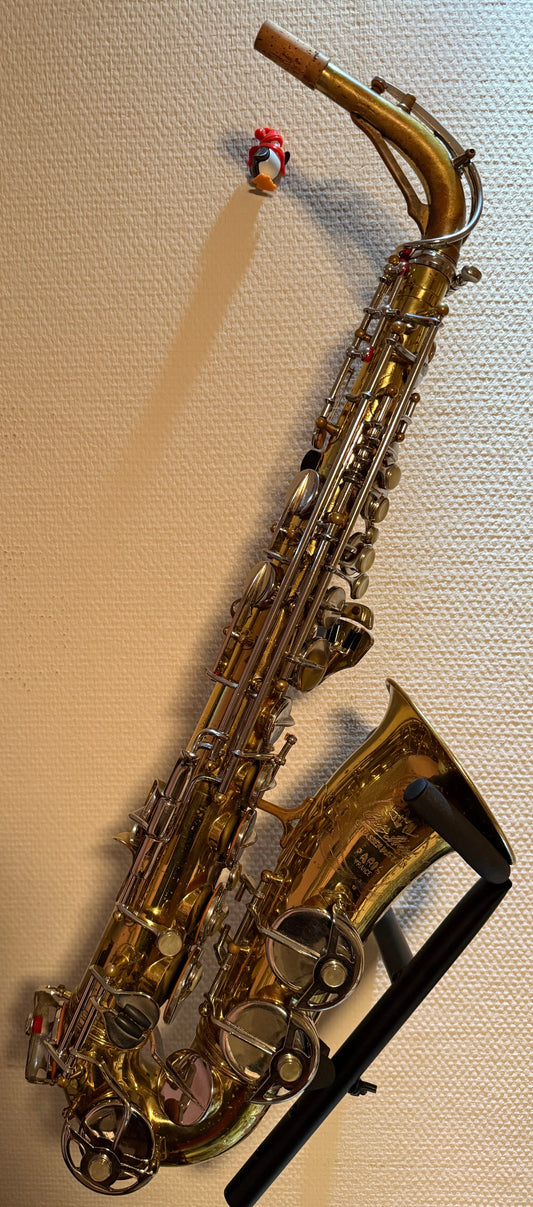 SML Gold Medal serie II body